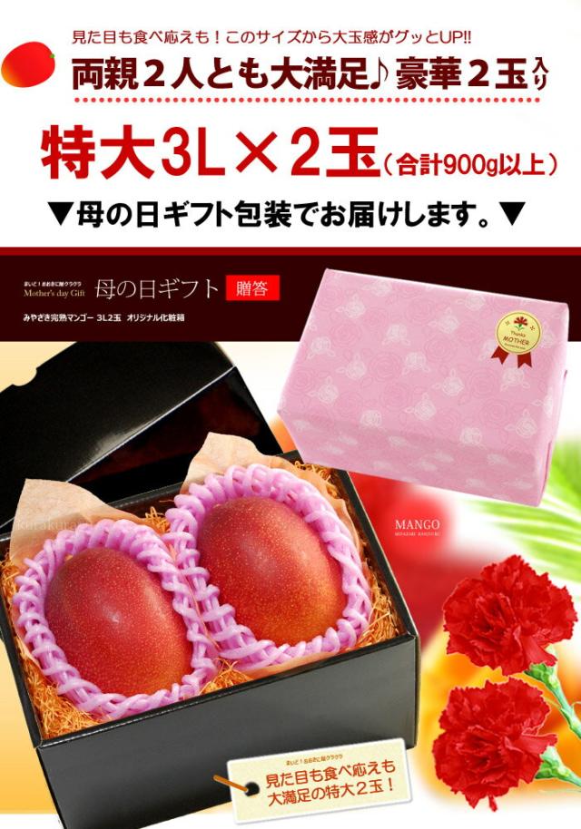 母の日ギフトみやざき完熟マンゴー3L2玉ラッピング