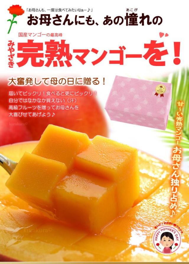お母さん完熟マンゴー独り占め