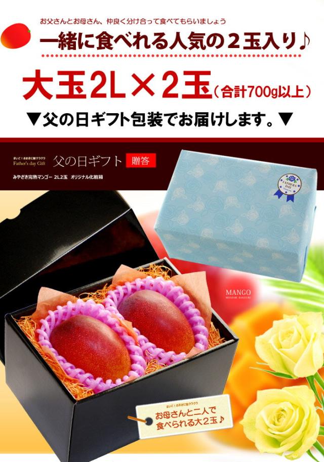 父の日ギフトみやざき完熟マンゴー2L2玉ラッピング