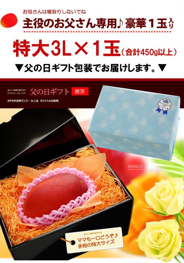 父の日ギフトみやざき完熟マンゴー3L1玉ラッピング