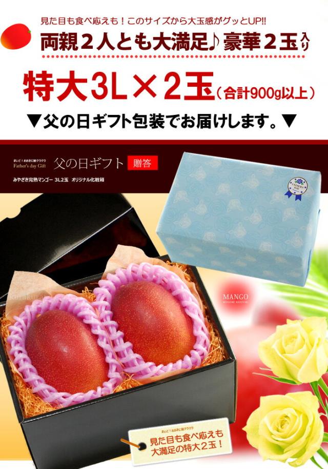 父の日ギフトみやざき完熟マンゴー3L2玉ラッピング