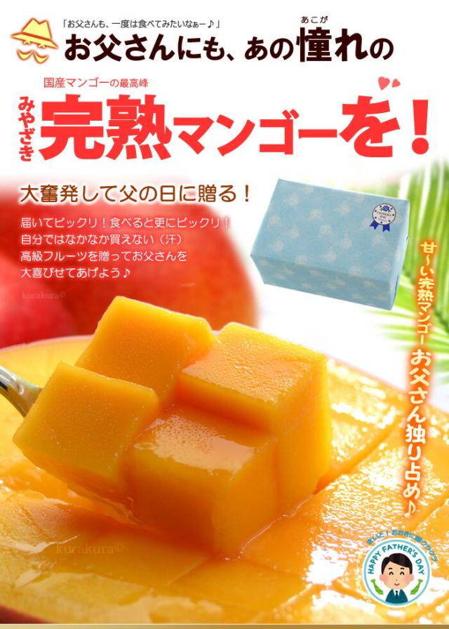 お父さん完熟マンゴー独り占め