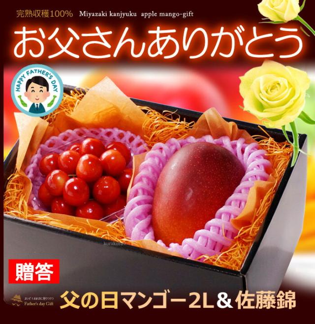 父の日みやざき完熟マンゴー（2L1玉）サクランボ詰め合わせギフト販売/購入