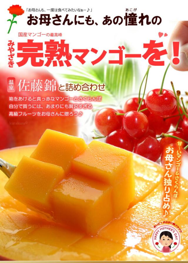 みやざき完熟マンゴーと佐藤錦サクランボをお母さんに贈る