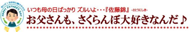 父の日ギフト用にハウスさくらんぼ
