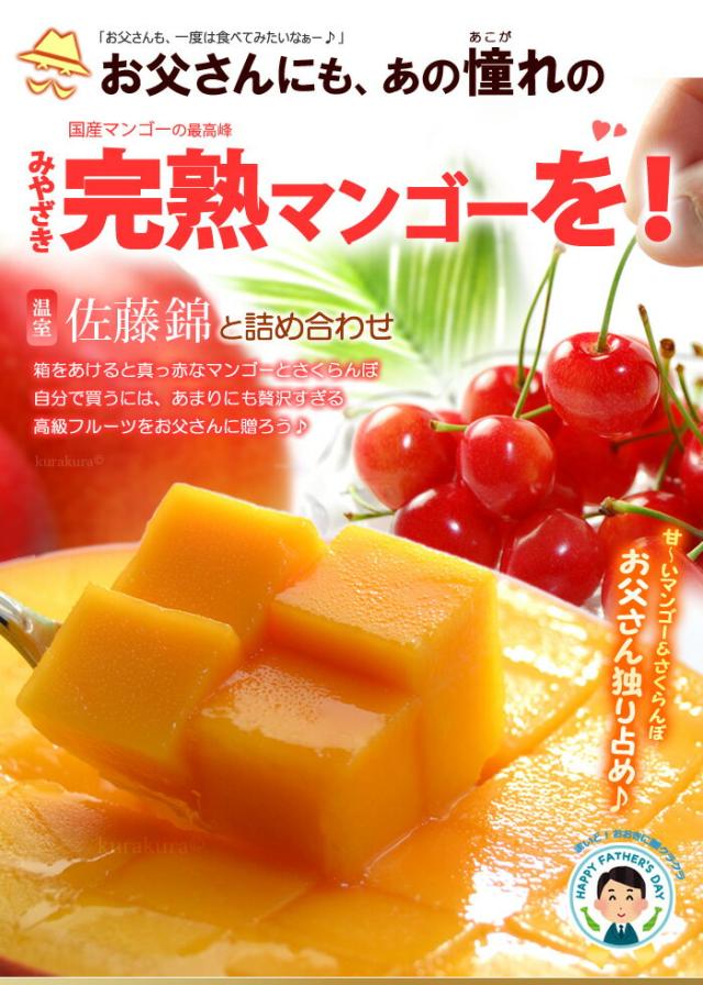 みやざき完熟マンゴーと佐藤錦サクランボをお父さんに贈る