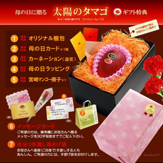 母の日ギフト太陽のタマゴ2L1玉オリジナル化粧箱