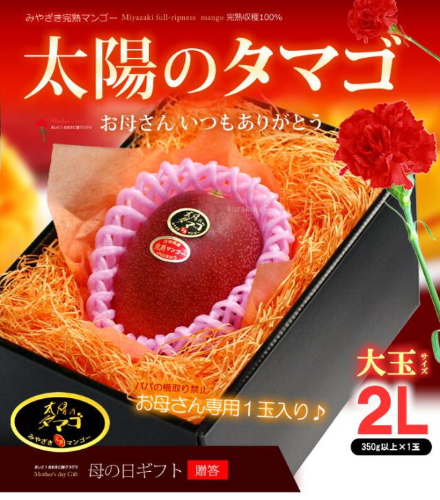 母の日マンゴー太陽のタマゴ（2L1玉）販売/購入