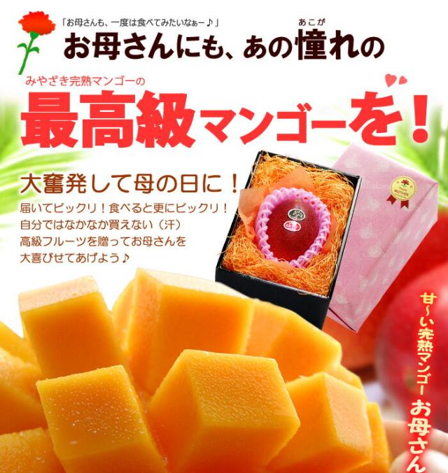 太陽のタマゴ2L1玉をお母さんに贈る