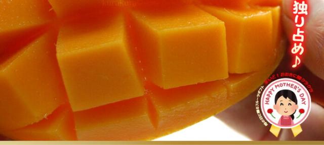 とろける完熟マンゴー果肉