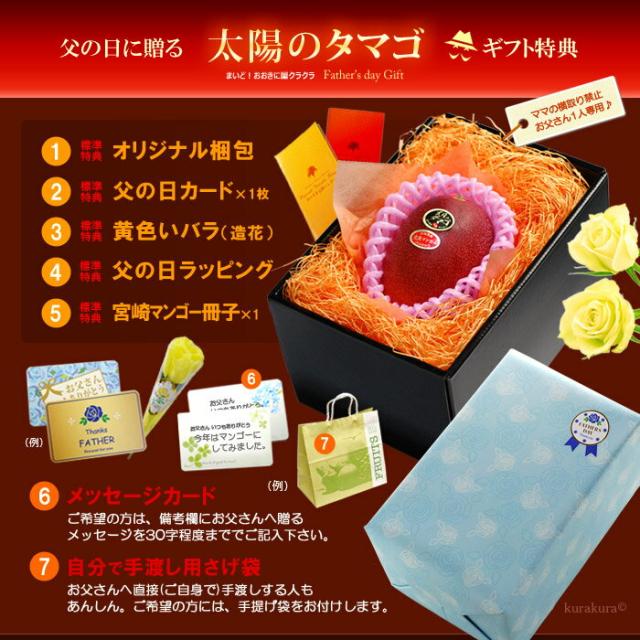 父の日ギフト太陽のタマゴ2L1玉オリジナル化粧箱