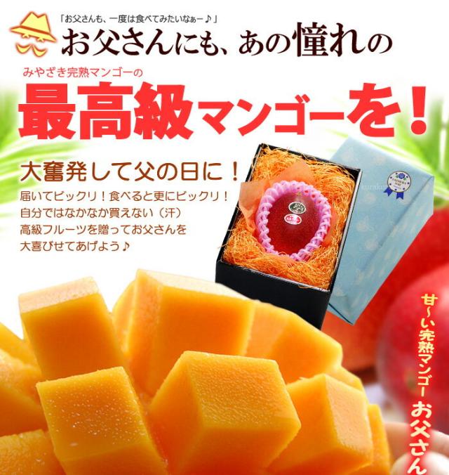 太陽のタマゴ2L1玉をお父さんに贈る