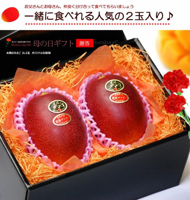 母の日マンゴー太陽のタマゴ2L2玉化粧箱ギフト販売姿