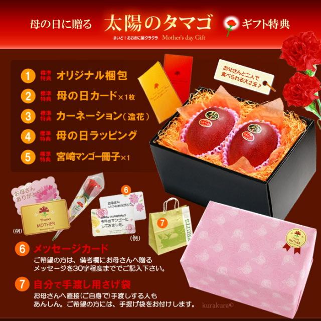 母の日ギフト太陽のタマゴ2L2玉オリジナル化粧箱