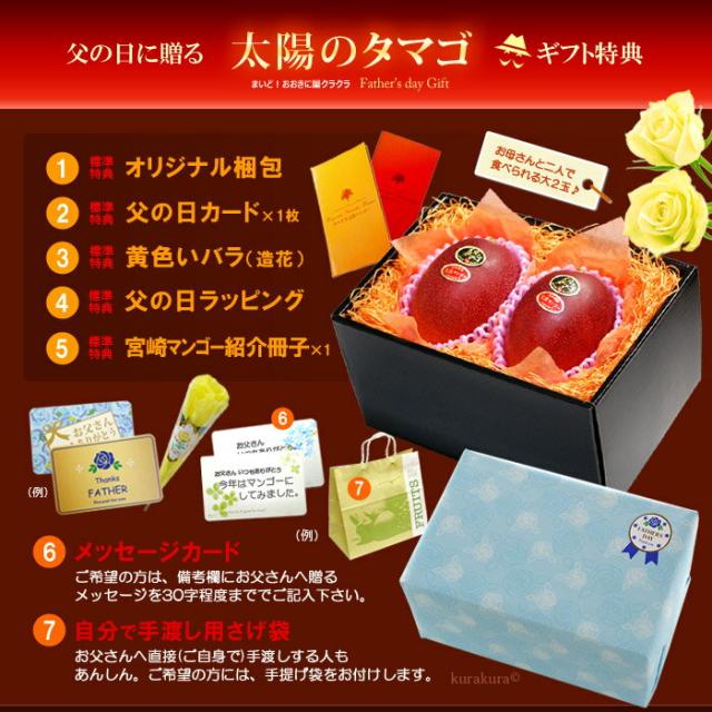 父の日ギフト太陽のタマゴ2L2玉オリジナル化粧箱