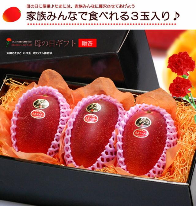 母の日マンゴー太陽のタマゴ2L3玉化粧箱ギフト販売姿