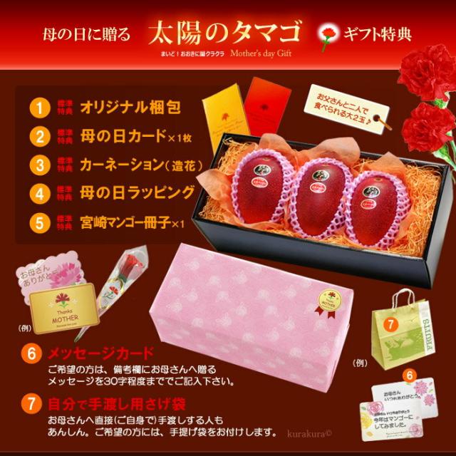 母の日ギフト太陽のタマゴ2L3玉オリジナル化粧箱