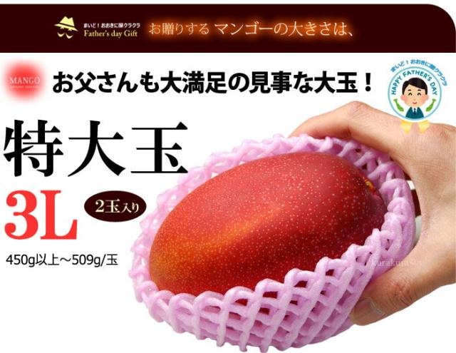 太陽のタマゴ特大3L玉サイズ見本
