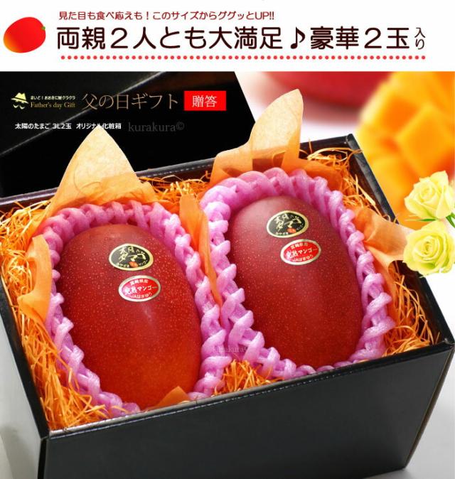 父の日マンゴー太陽のタマゴ3L2玉化粧箱ギフト販売姿