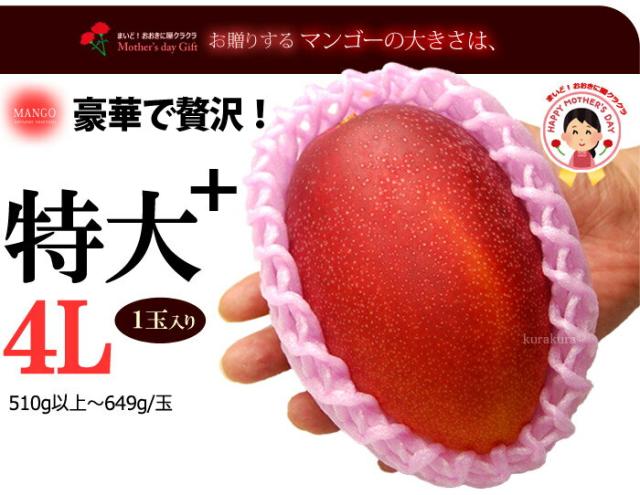 太陽のタマゴ特特大4Lサイズ見本