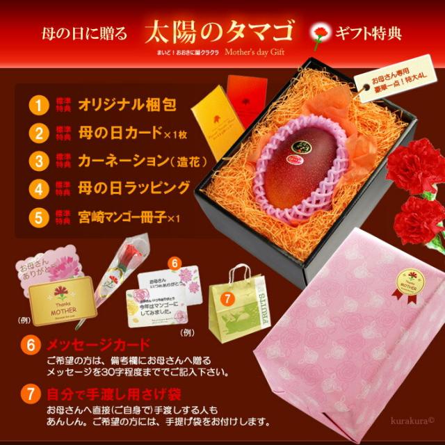 母の日ギフト太陽のタマゴ4L1玉オリジナル化粧箱