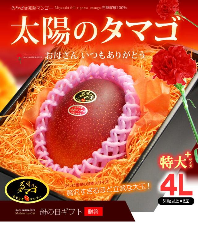母の日マンゴー太陽のタマゴ（4L1玉）販売/購入