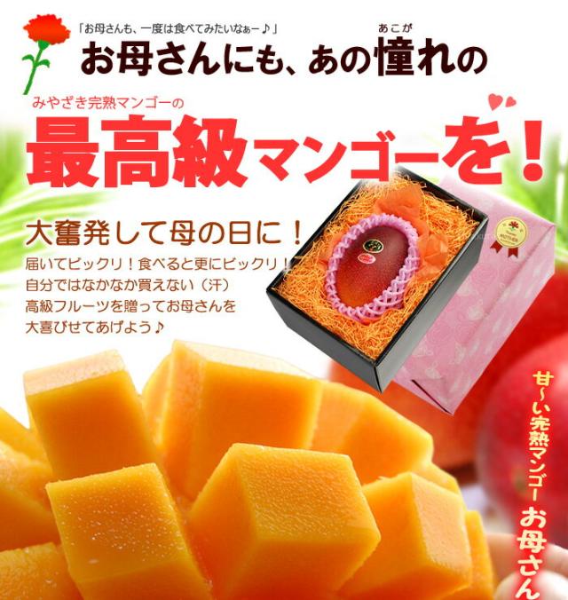 太陽のタマゴ4L1玉をお母さんに贈る