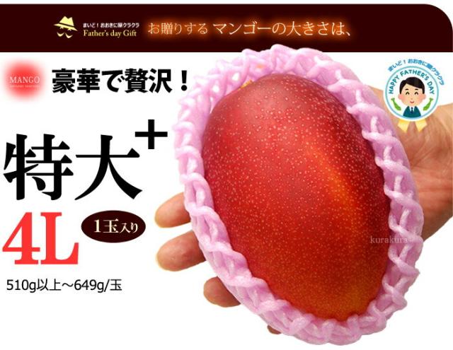 太陽のタマゴ特特大4L玉サイズ見本