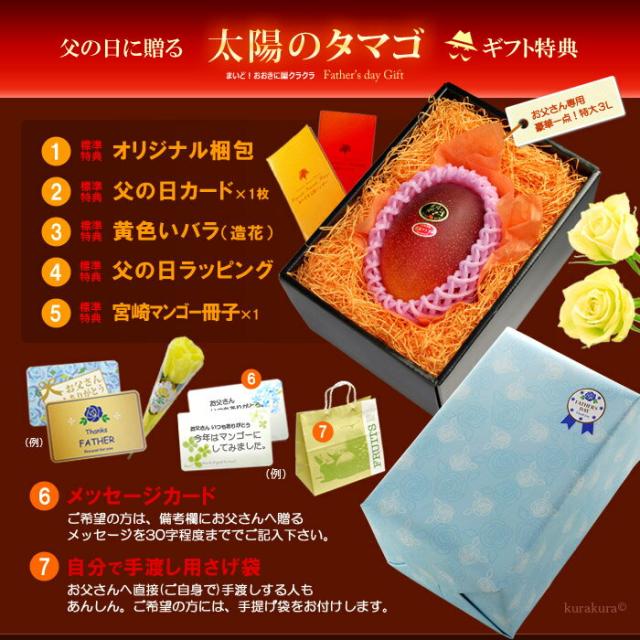 父の日ギフト太陽のタマゴ4L1玉オリジナル化粧箱