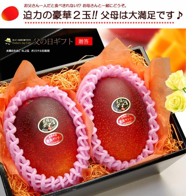 父の日マンゴー太陽のタマゴ4L2玉化粧箱ギフト販売姿