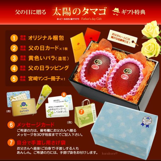 父の日ギフト太陽のタマゴ4L2玉オリジナル化粧箱