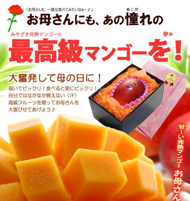 太陽のタマゴ5L1玉をお母さんに贈る