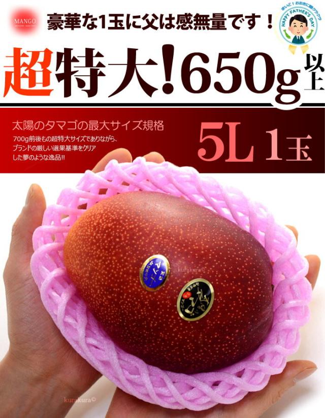 父の日ギフト太陽のタマゴ5L1玉ラッピング