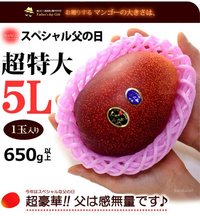 太陽のタマゴ超特大5Lサイズ見本