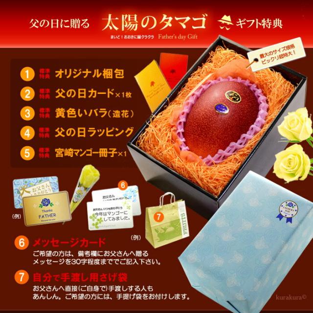 父の日ギフト太陽のタマゴ5L1玉オリジナル化粧箱