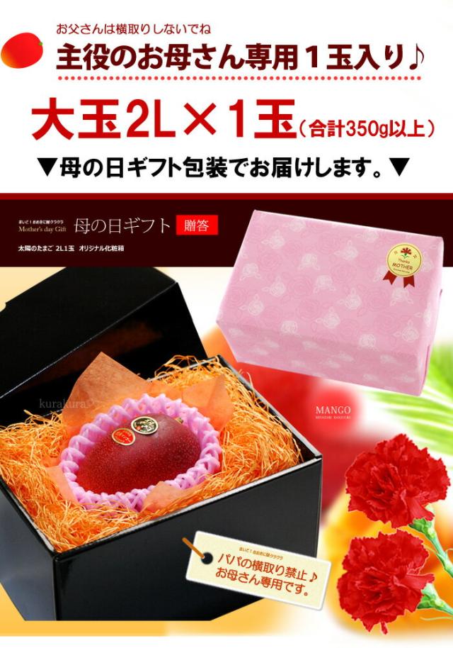 母の日ギフト太陽のタマゴ2L1玉ラッピング