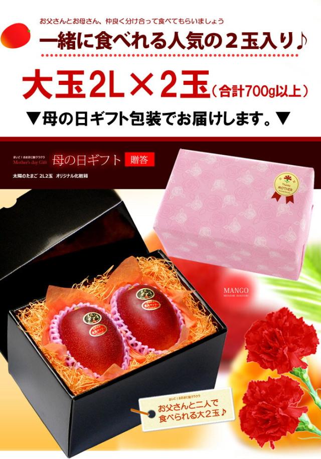 母の日ギフト太陽のタマゴ2L2玉ラッピング