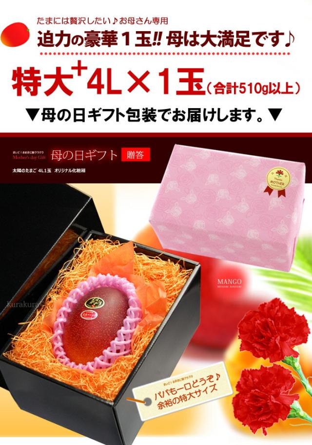 母の日ギフト太陽のタマゴ4L1玉ラッピング