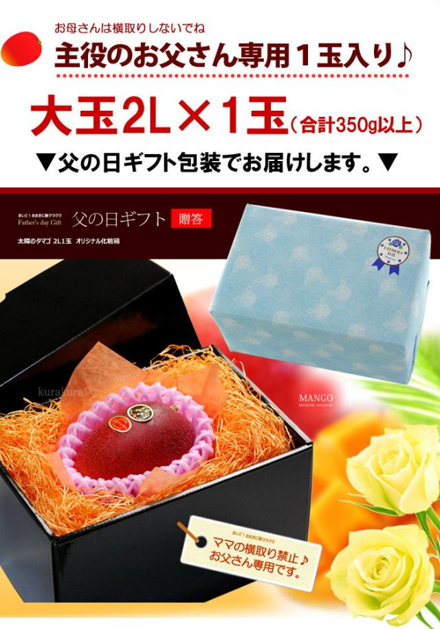 父の日ギフト太陽のタマゴ2L1玉ラッピング
