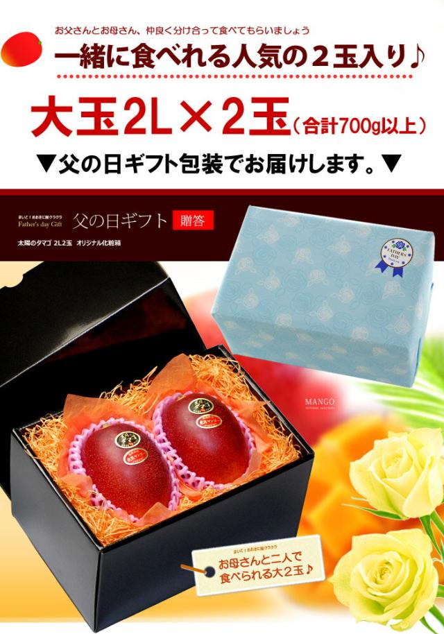 父の日ギフト太陽のタマゴ2L2玉ラッピング