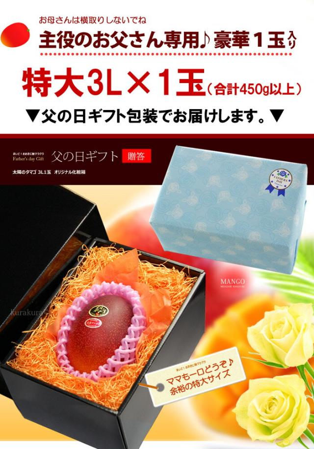 父の日ギフト太陽のタマゴ3L1玉ラッピング