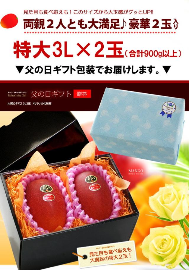 父の日ギフト太陽のタマゴ3L2玉ラッピング