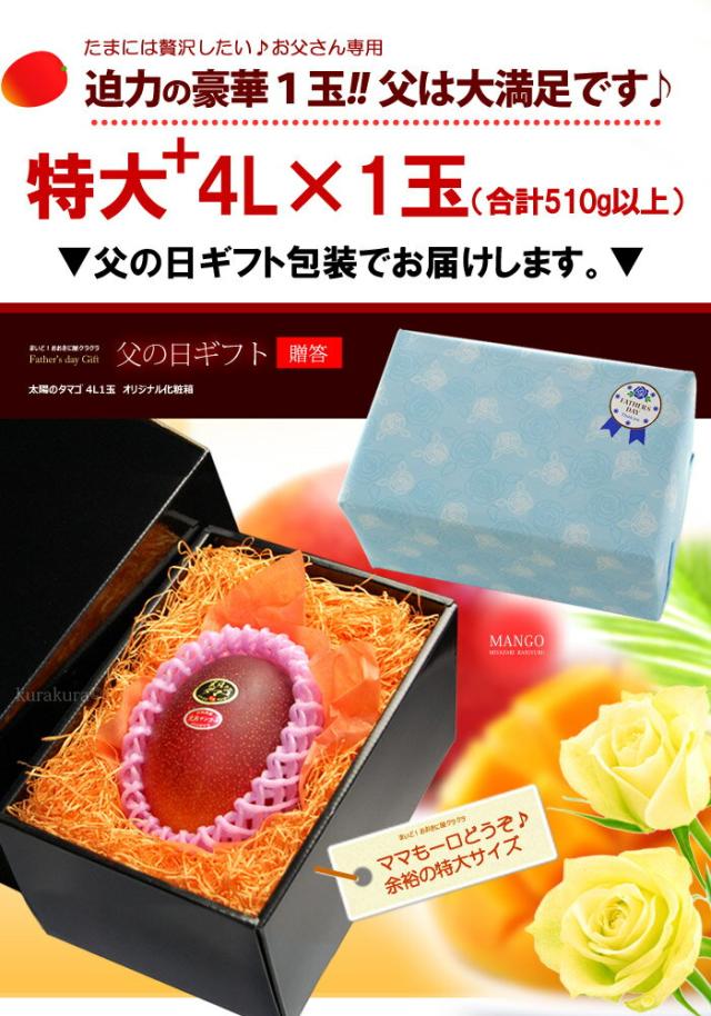 父の日ギフト太陽のタマゴ4L1玉ラッピング