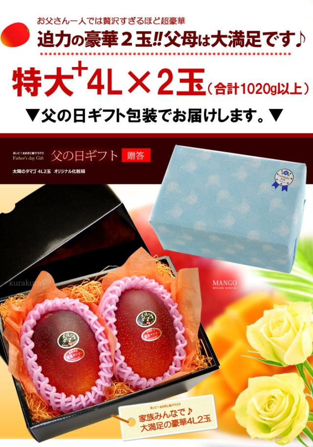 父の日ギフト太陽のタマゴ4L2玉ラッピング
