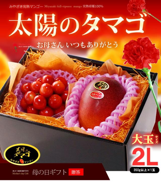 母の日マンゴー太陽のタマゴ（2L1玉）さくらんぼ詰め合わせギフト販売/購入