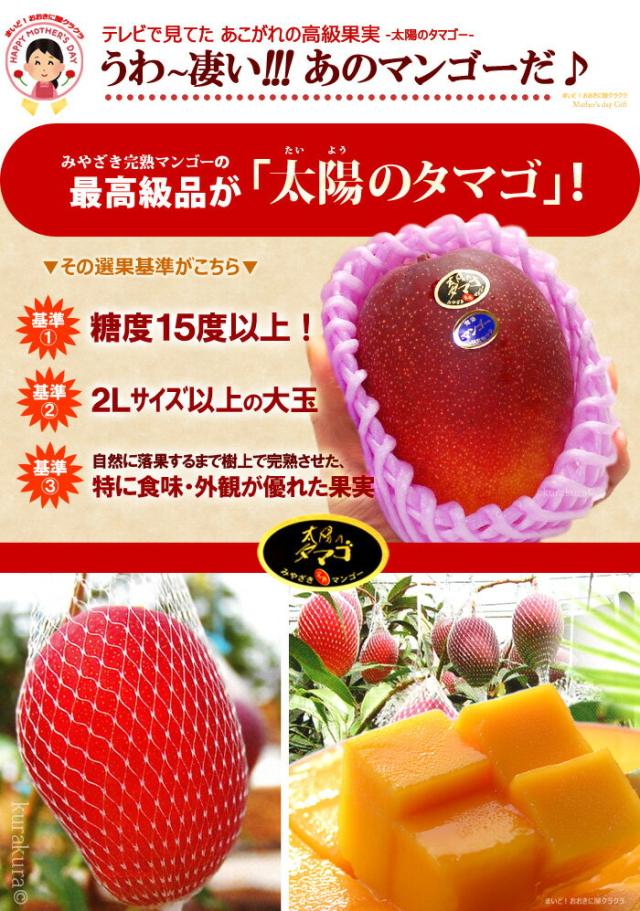 太陽のタマゴ認定基準について