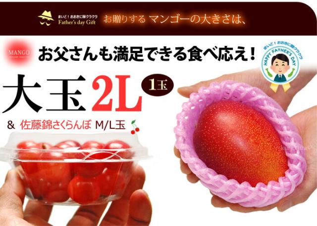 太陽のタマゴ大玉2LサイズとサクランボML玉の見本