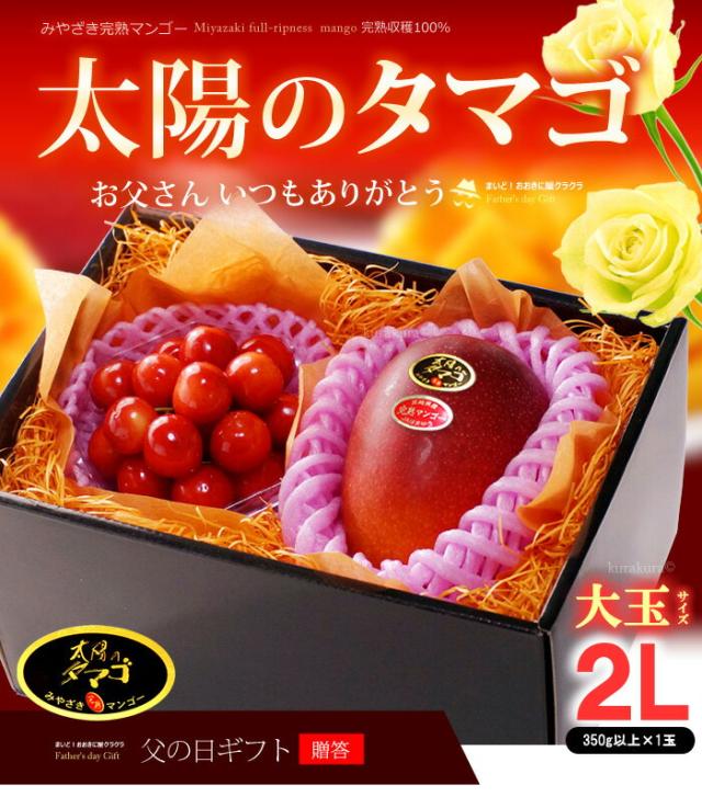 父の日マンゴー太陽のタマゴ（2L1玉）さくらんぼ詰め合わせギフト販売/購入
