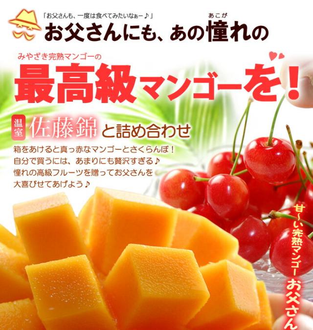 太陽のタマゴ2L1玉とサクランボをお父さんに贈る