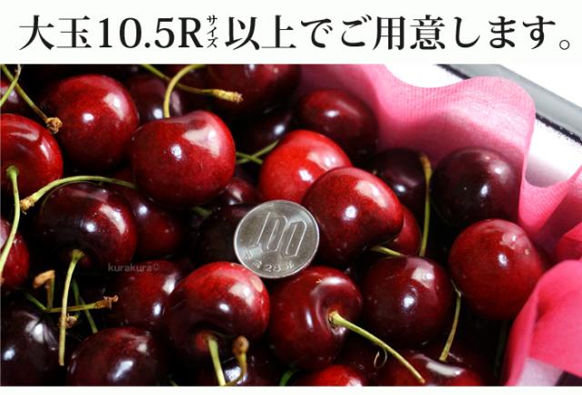 アメリカンチェリー大玉10.5Rサイズ以上でご用意します。